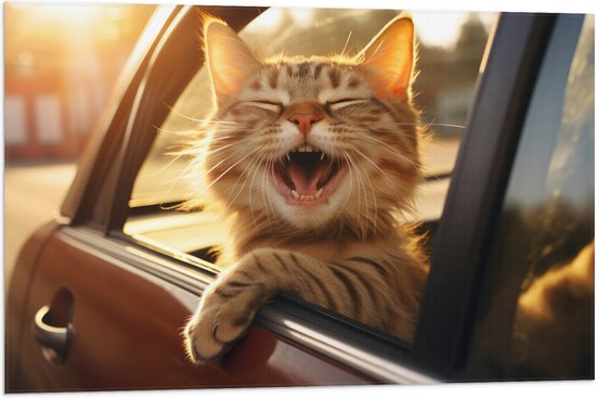 Vlag - Dier - Kat - Auto - Lachen - Tanden - 90x60 cm Foto op Polyester Vlag
