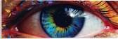 Acrylglas - Oog - Wimpers - Kleuren - Regenboog - 60x20 cm Foto op Acrylglas (Wanddecoratie op Acrylaat)