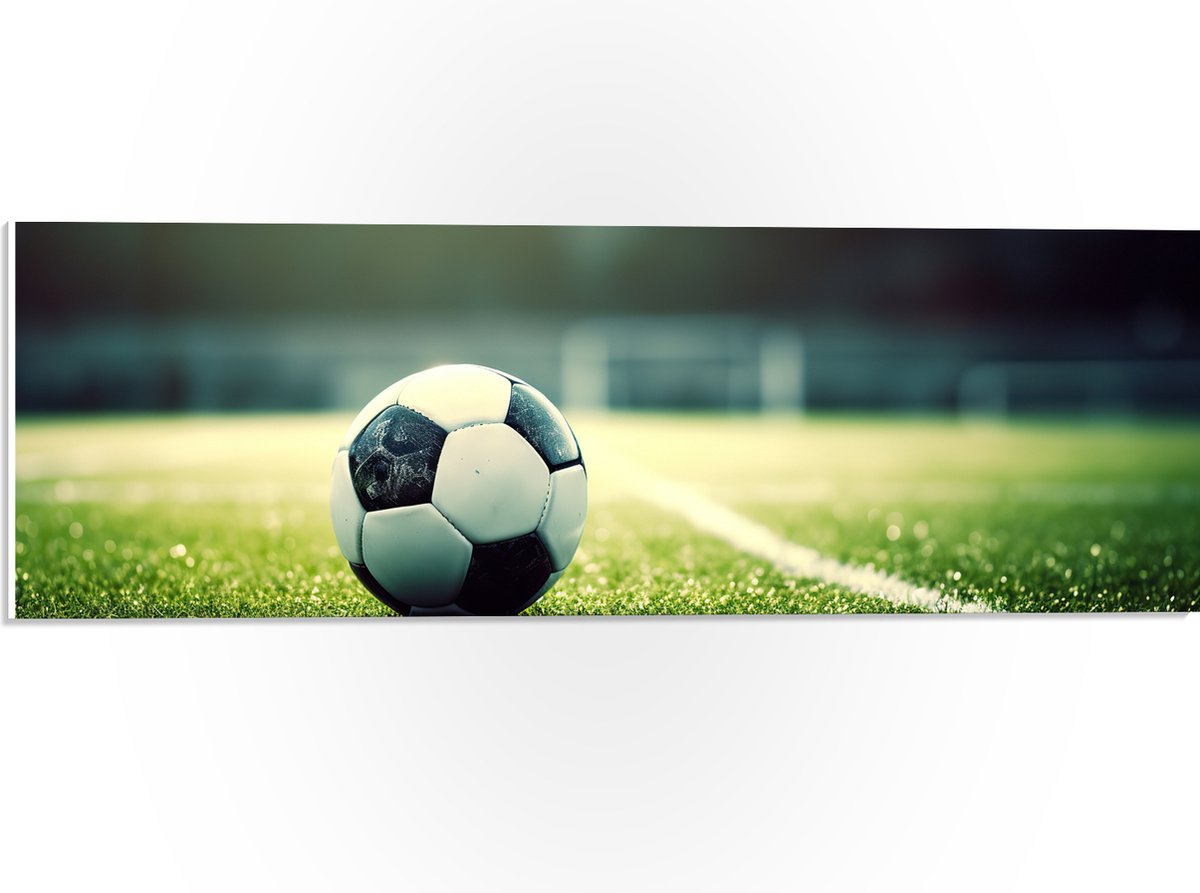 PVC Schuimplaat- Veld - Bal - Voetbal - Lijn - 60x20 cm Foto op PVC Schuimplaat