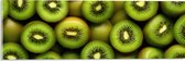 Acrylglas - Eten - Fruit - Kiwi - Groen - 60x20 cm Foto op Acrylglas (Met Ophangsysteem)