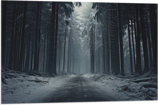 Vlag - Sneeuw - Bos - Bomen - Boomstammen - Bruin - Wit - 90x60 cm Foto op Polyester Vlag