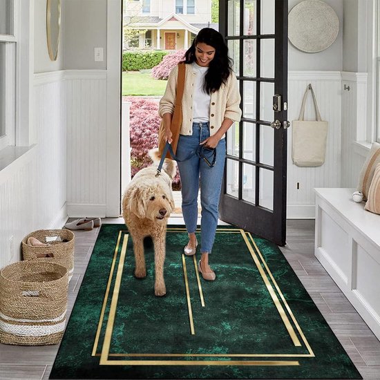 Cekene Grote woonkamertapijten beige 160 x 230 cm ultradunne vloerkleden voor woonkamer, antislip wasbare tapijten voor slaapkamer, pluisvrij tapijt, tapijt voor eetkamer, keuken, kantoor