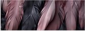 Poster Glanzend – Veren - Zwart - Roze - 150x50 cm Foto op Posterpapier met Glanzende Afwerking