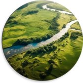 Dibond Muurcirkel - Rivier - Water - Bomen - Landschap - 50x50 cm Foto op Aluminium Muurcirkel (met ophangsysteem)