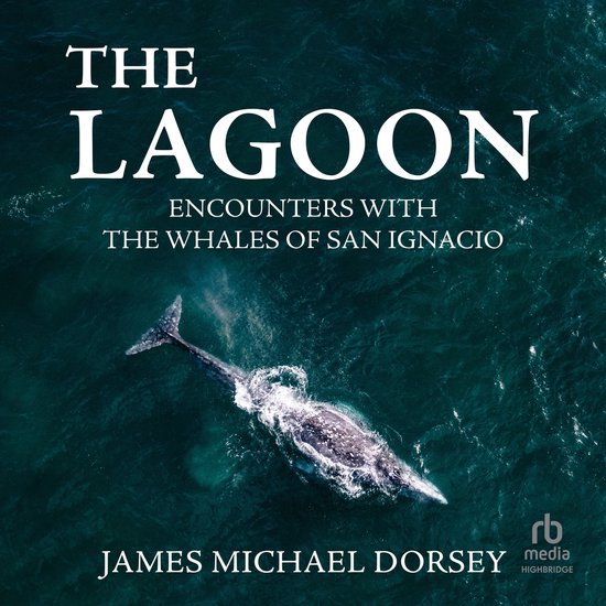 The Lagoon - cover