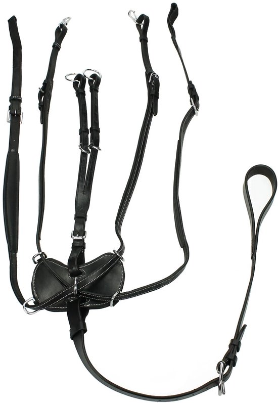 Epplejeck Borsttuig Coventry - Black-silver - full