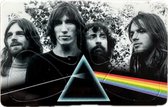 Pink Floyd - Plectrum - Dark Side of the Moon - Pikcard met 4 plectrums