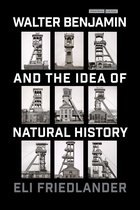 Cultural Memory in the Present- Walter Benjamin and the Idea of Natural History