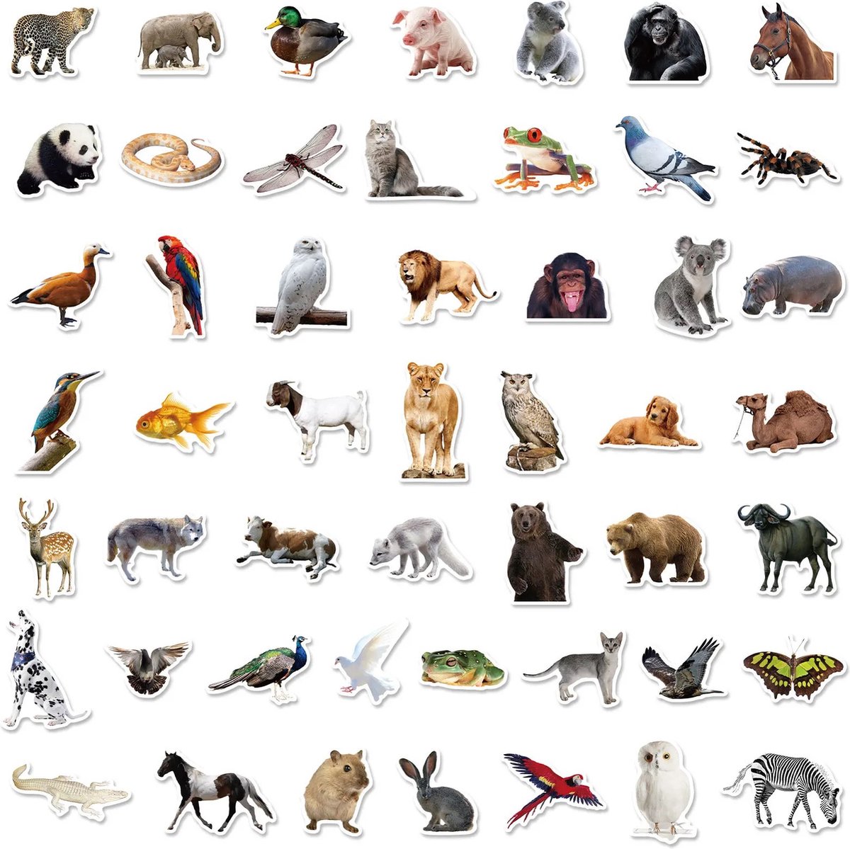 Dieren Stickers 50 Stuks | Animals Stickers | Dierentuin Dieren | Aap | Vlinder | Leeuw | Panda | Vis | Kameel | Laptop Stickers | Stickers Kinderen en Volwassenen | Stickervellen | Plakstickers | Koffer Stickers | Stickers Bullet Journal en Planner — afbeelding 2