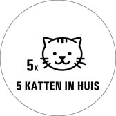 Katten in huis sticker - 80 x 80 mm 5