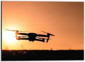 Dibond - Silhouet van Laagvliegende Drone bij Zonsondergang - 40x30 cm Foto op Aluminium (Met Ophangsysteem)