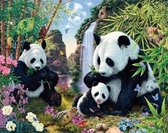 Denza - Diamond painting panda 40 x 50 cm volledige bedrukking ronde steentjes direct leverbaar - panda