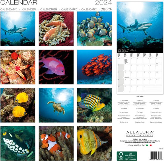 PERIODIQUE CALENDRIER ANIMAUX MARINS 2024