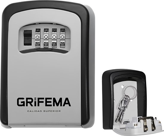 GA1003 - Boîte de verrouillage, Armoires à clés, boîte de verrouillage à clé avec code à 4 chiffres, coffre-fort à clé mural, pour la maison, Garage, étanche, gris