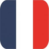 30x Bierviltjes Franse vlag vierkant - Frankrijk feestartikelen - Landen decoratie