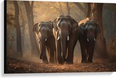 Canvas - Drie Aanlopende Olifanten onder Bomen in het Bos - 90x60 cm Foto op Canvas Schilderij (Wanddecoratie op Canvas)
