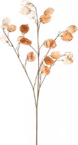 Fleurdirect Kunsttak Lunaria - Polyester - Oranje - 0 x 82 x 0 cm (BxHxD)