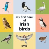 First Steps- My First Book of Irish Birds