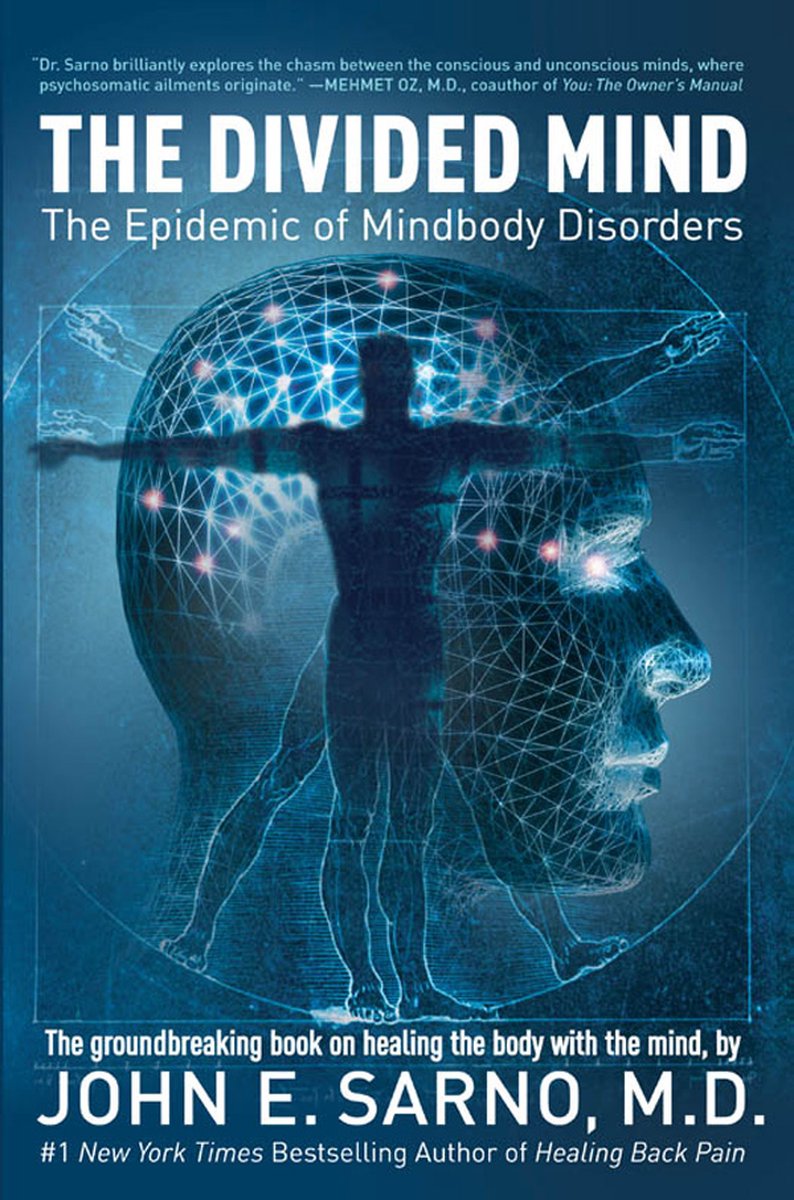 De cover van het boek 'The Divided Mind' met een illustratie van een menselijk hoofd en lichaam met verbindingen.
