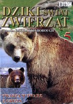 Dziki Świat Zwierząt 05: Twarzą w Twarz z Grizli (BBC) [DVD]