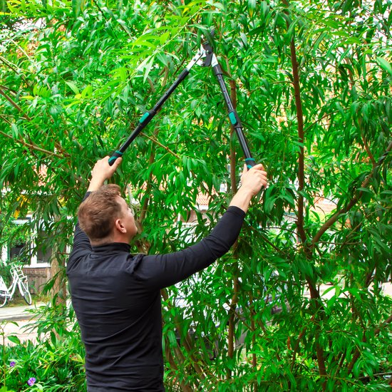 VONROC Takkenschaar - telescopisch - lengte: 63,5 - 85 cm - papegaaienbek - met ILAG anti-kleefcoating - voor takken tot Ø25mm van VONROC — afbeelding 4