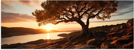 Poster Glanzend – Grote Eikenboom op Stenen Grond aan het Water - 90x30 cm Foto op Posterpapier met Glanzende Afwerking