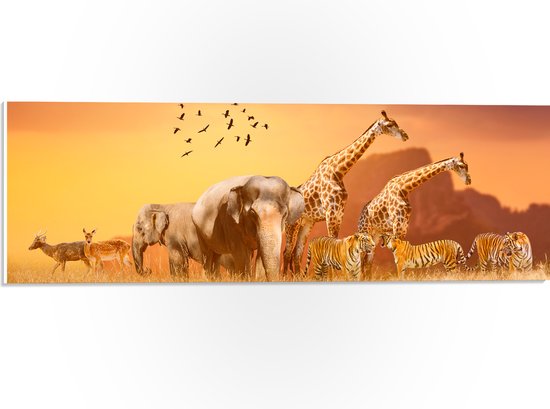 PVC Schuimplaat - De Dieren van het Afrikaanse Landschap - 60x20 cm Foto op PVC Schuimplaat (Met Ophangsysteem)