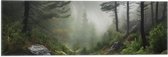Vlag - Bos - Mistig - Bomen - Pad - Stenen - 60x20 cm Foto op Polyester Vlag