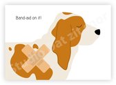 Postcard | Basset Hound Eddie Band-aid on it!