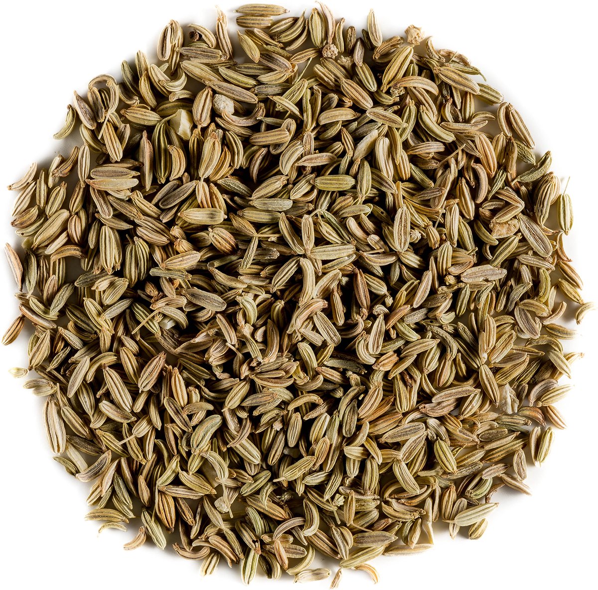 Goedkoopste Venkel Zaad Bio Kruiden Delicatesse - Culinaire Venkel Zaden - Foeniculum Vulgare Zaden Fenkel