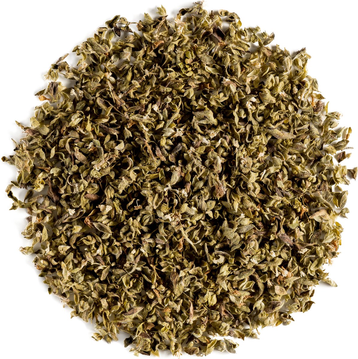 Goedkoopste Oregano Bio Kruiden Gourmet Kruid - Culinaire Kruiden Italiaanse Keuken