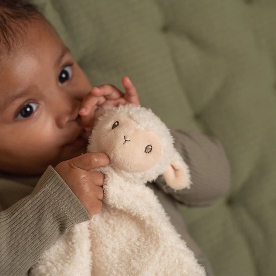 Petit néerlandais | Doudou Mouton