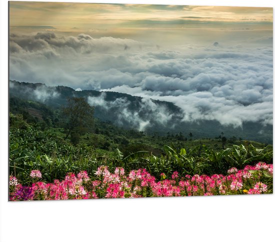 Dibond - Bergen - Mist - Bloemen - Planten - Wolken - 100x75 cm Foto op Aluminium (Met Ophangsysteem)