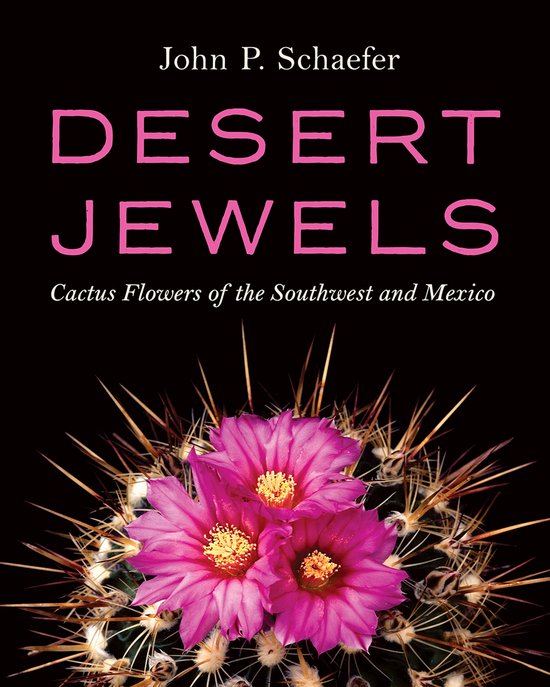 Desert Jewels - cover