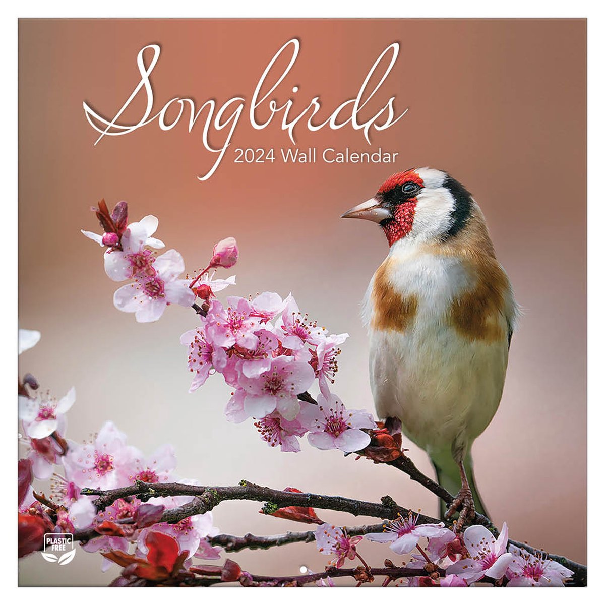Songbirds Kalender 2024 Turner