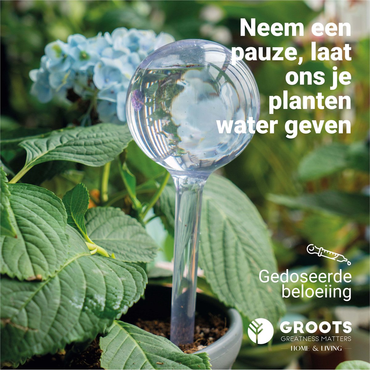 Groots Waterdruppelaar Transparant Set van 6 - Planten waterdruppelaar voor binnen en buiten thumbnail 5