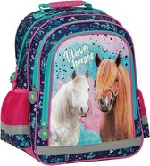 Paard rugtas voor tieners - 3 grote vakken - Paarden pony school kinderrugzak roze/blauw - 38 x 28 x 18 - Kinderen, meisjes