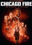 Chicago Fire - Seizoen 11 (DVD)