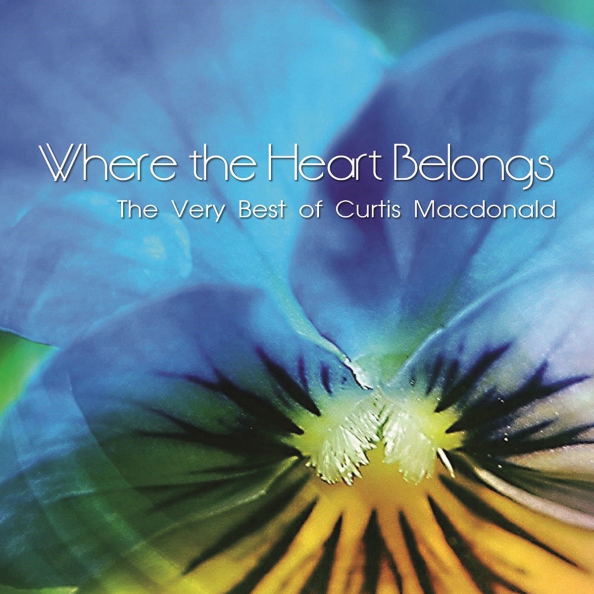 Curtis Macdonald - Where The Heart Belongs (CD)