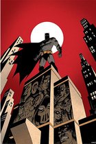 Hole in the Wall DC Comics Batman Maxi Poster -Villain Skyline (Diversen) Nieuw