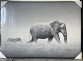 Absolu chic, canvas schilderij 'Olifant', 50x70 cm, zwart wit incl lijst