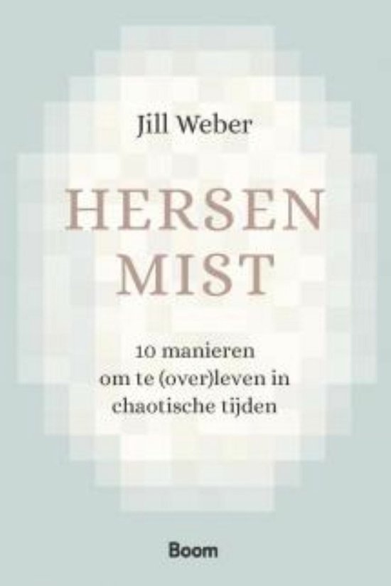 Hersenmist - cover