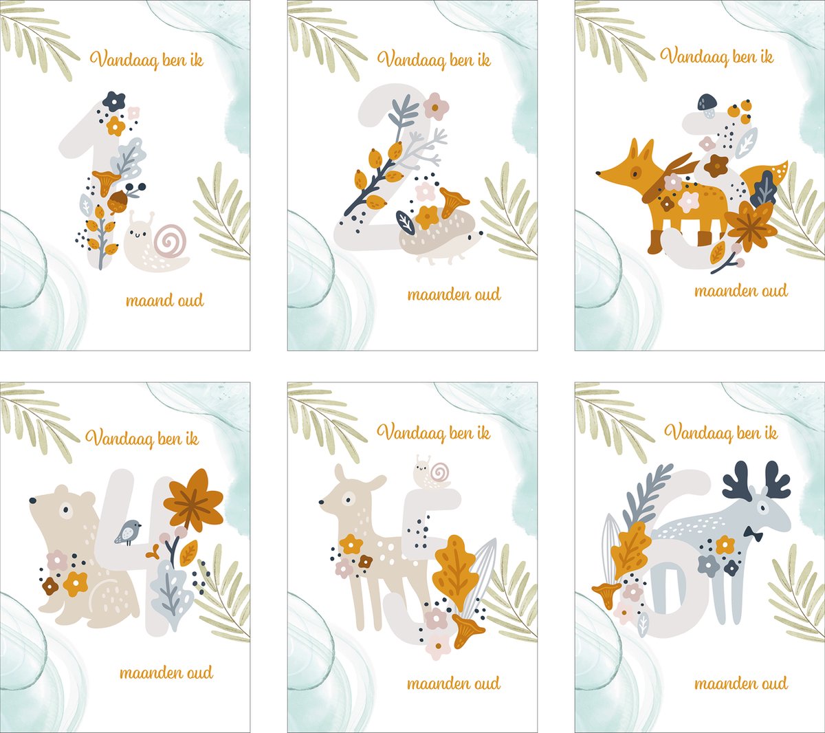 Milestone kaarten baby