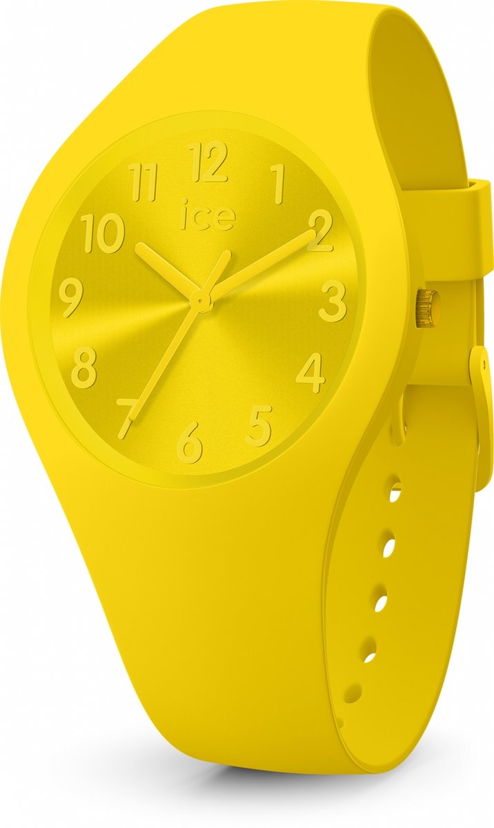 Ice-Watch ICE colour IW017908 Dames Horloge 34 mm