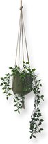 Plantenhanger - Beige - 80 cm - Katoen - Macramé - Handgemaakt in Nederland - Let op: Excl. Pot - Inclusief Verzendkosten