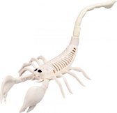 Skelet - schorpioen - 31 cm