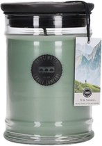 Wild Summit | Bridgewater Candle Company | Geurkaars | Small Jar