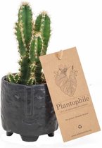 Cactus in zwart potje met gezicht - Plantophile