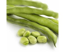 Tuinboon | Wintertuinboon Aguadulce ca 85 gram