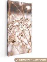 Canvas Schilderij Droogbloemen - Wit - Planten - 20x40 cm - Wanddecoratie